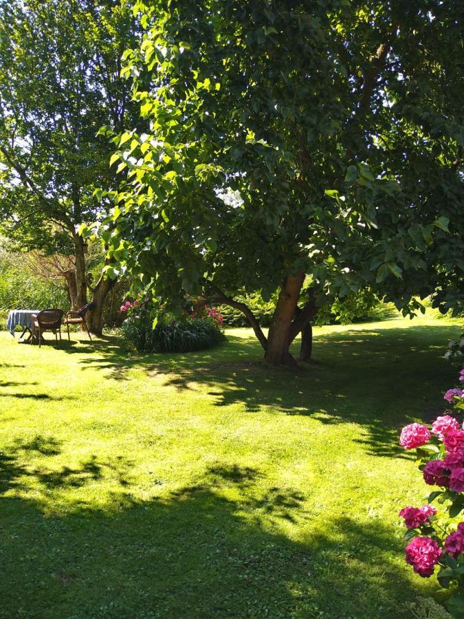 Ouddorp Vakantiehuisje Εξωτερικό φωτογραφία