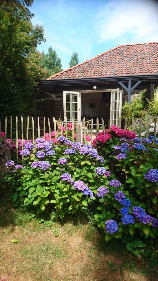 Ouddorp Vakantiehuisje Εξωτερικό φωτογραφία